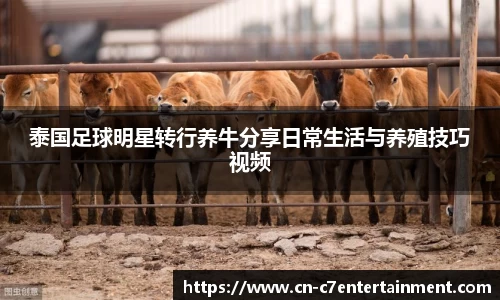 泰国足球明星转行养牛分享日常生活与养殖技巧视频